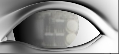 130517_D9939 130517_D9939