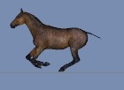 【Daz3D】馬を走らせる。２【DAZ Horse 2 Pro Bundle】