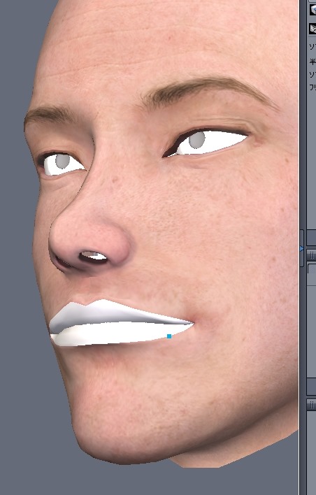 130815_D　天川和香　Create3D　【Daz Studio4.6】ル・アを作る。顔のポリゴンを修正する。0169