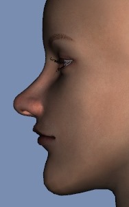 130815_D　天川和香　Create3D　【Daz Studio4.6】ル・アを作る。顔のポリゴンを修正する。0181