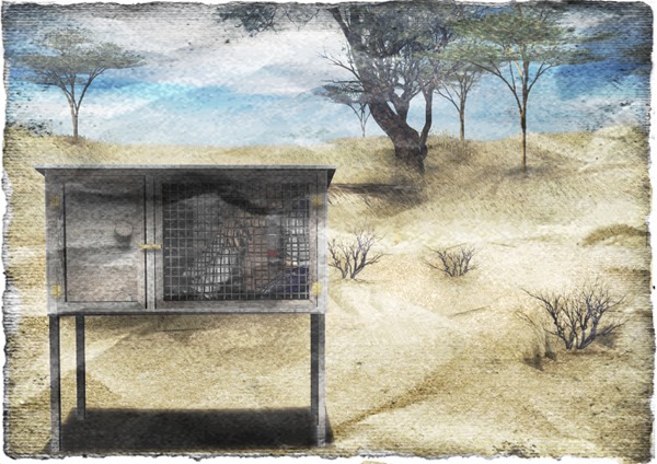 20141016_兎小屋2_01 20141016_兎小屋2_01